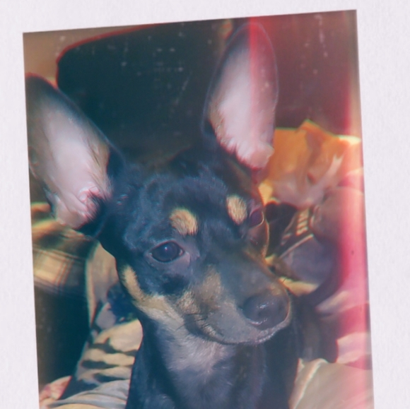 Meet your Posher, Nichole - Picture 1 of 3